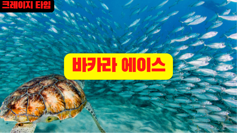 크레이지타임